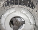 인천 연수동 세탁기청소 전후 사례
